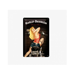 Plaque métal 3D Harley Davidson Pin Up Tac Signs - tacM3D22214